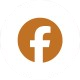 fb social icon